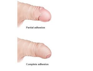 WhatsApp Image 2025-09-19 at 8.10.51 PM (1)