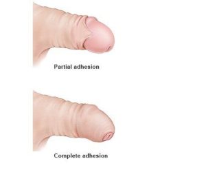 WhatsApp Image 2025-09-19 at 8.10.51 PM (1) WhatsApp Image 2025-09-19 at 8.10.51 PM (1)